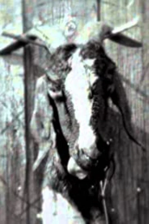 Постер: Slipknot: Goat - The 10th Anniversary of Iowa