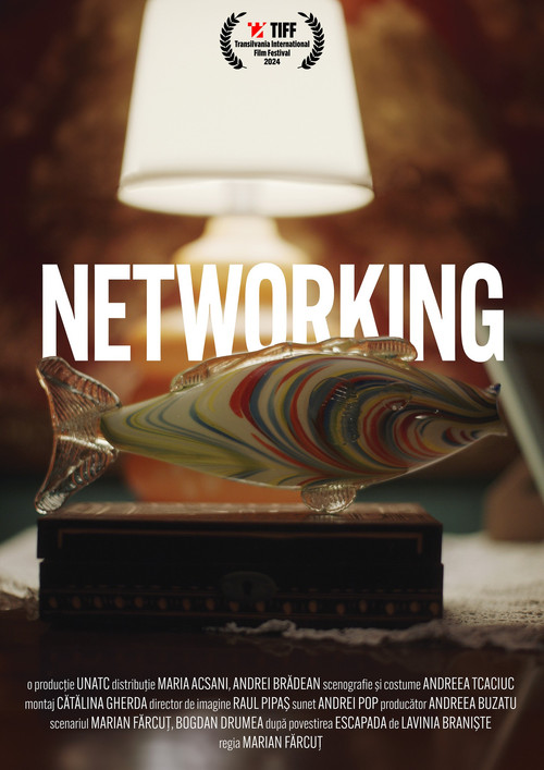 Постер: Networking
