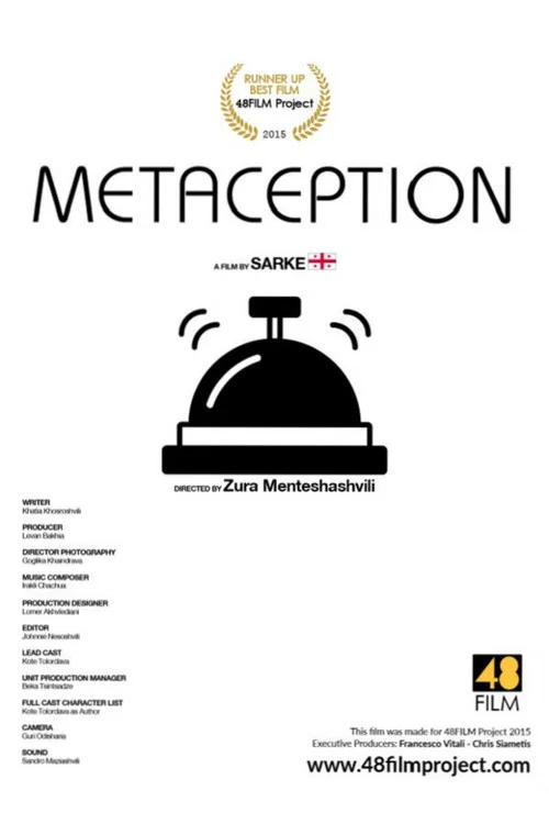 Постер: Metaception