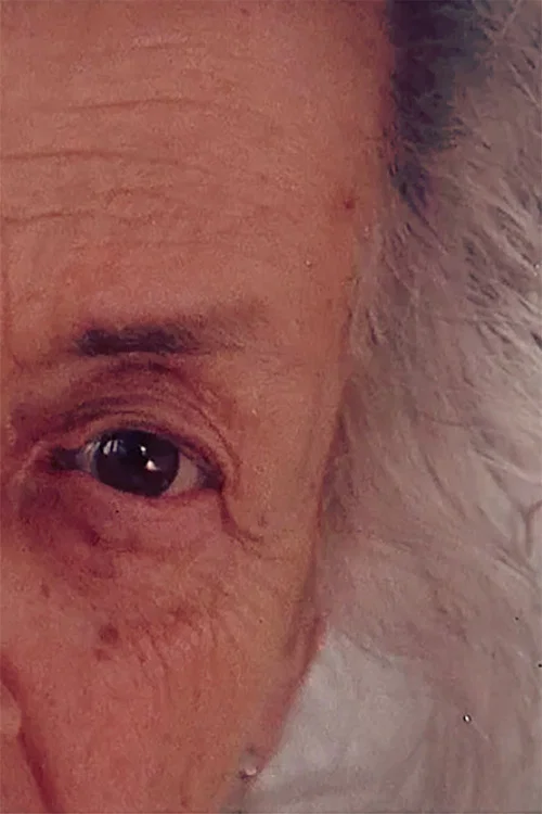 Постер: Looking