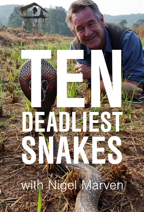 Постер: Ten Deadliest Snakes with Nigel Marven