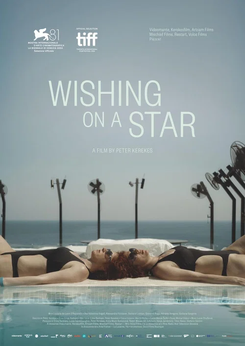 Постер: Wishing...