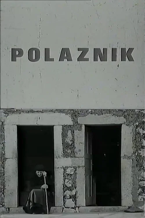Постер: Polaznik