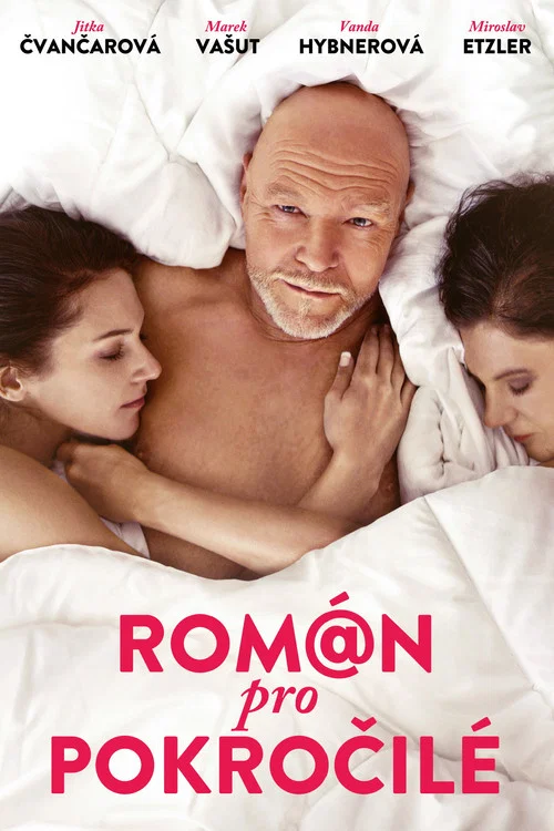 Постер: Román pro pokrocilé