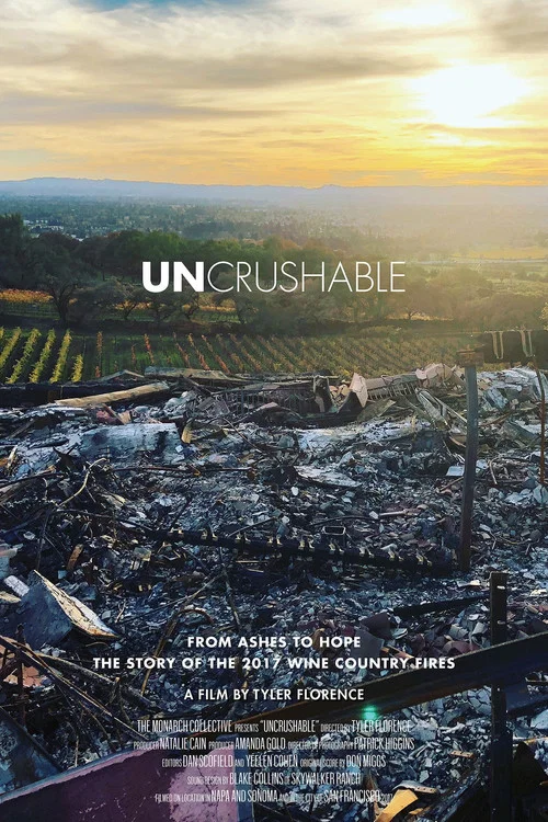 Постер: Uncrushable