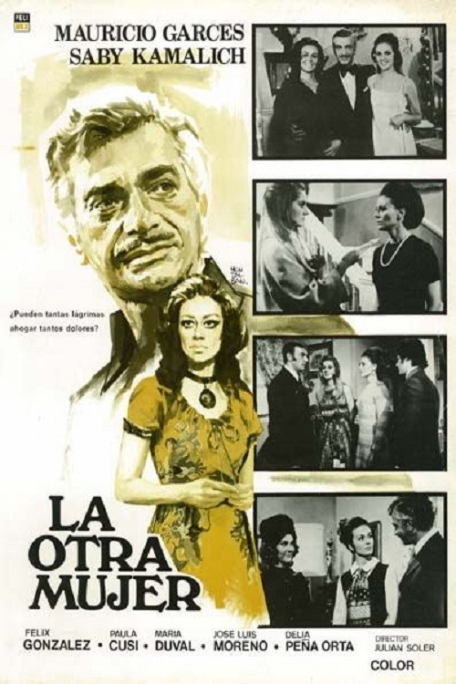 Постер: La otra mujer