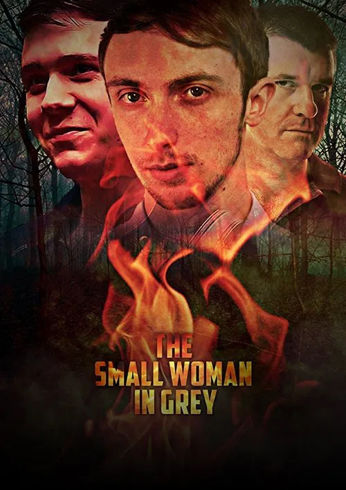 Постер: The Small Woman in Grey