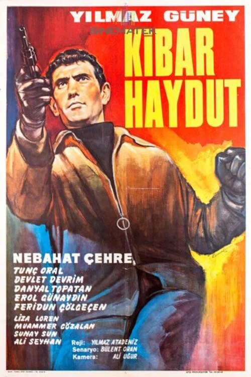 Постер: Kibar haydut