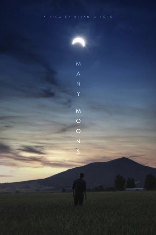 Постер: Many Moons