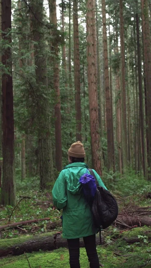 Постер: Forest Movie