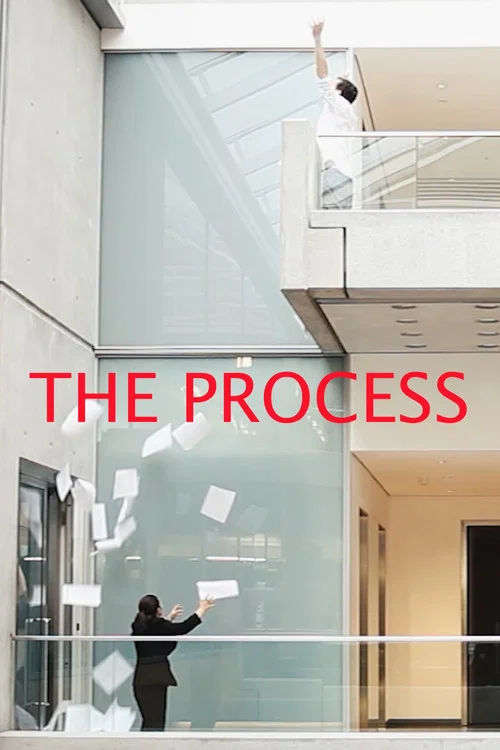 Постер: The Process