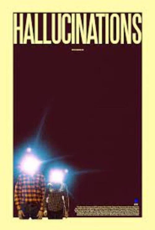 Постер: Hallucinations