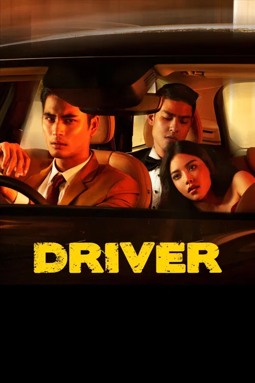 Постер: Driver