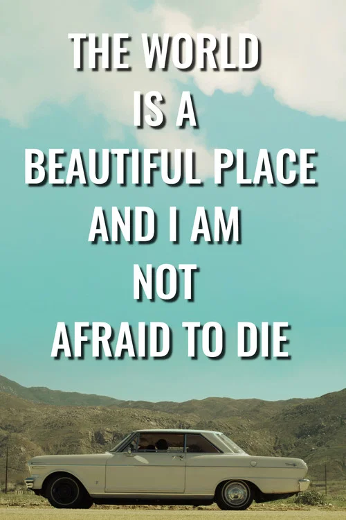 Постер: The World is a Beautiful Place and I am Not Afraid to Die