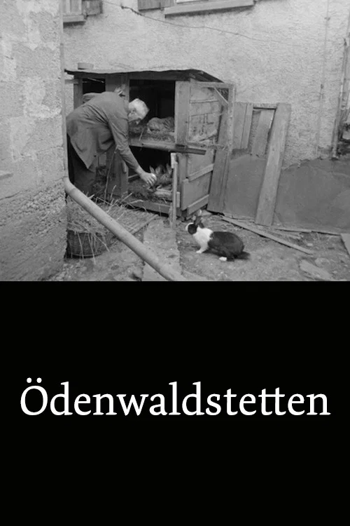 Постер: Ödenwaldstetten