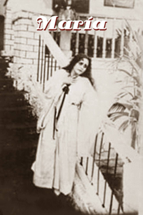 Постер: La María