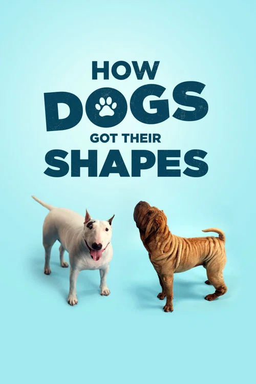 Постер: How Dogs Got Their Shapes