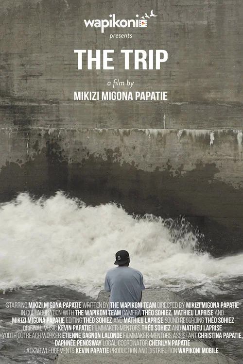 Постер: The Trip