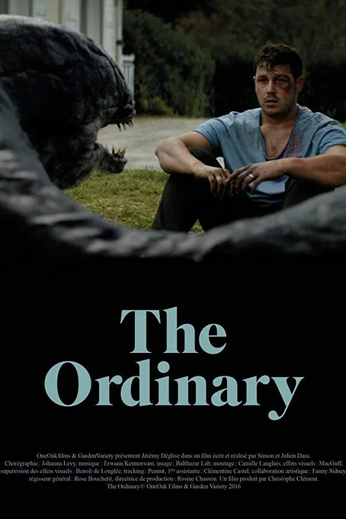 Постер: The Ordinary