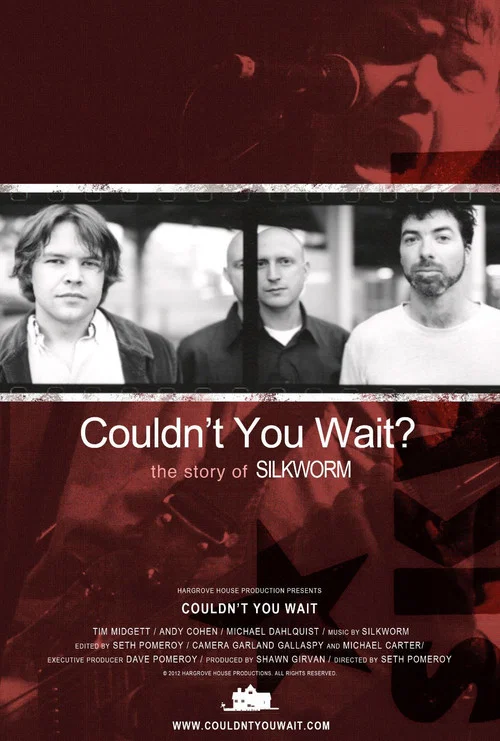 Постер: Couldn't You Wait?