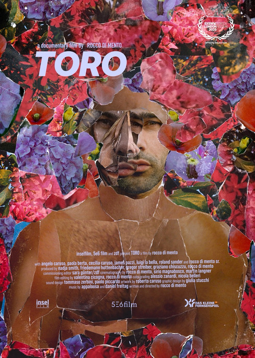 Постер: Toro