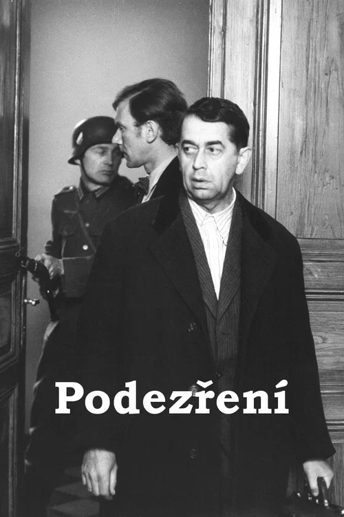 Постер: Podezrení