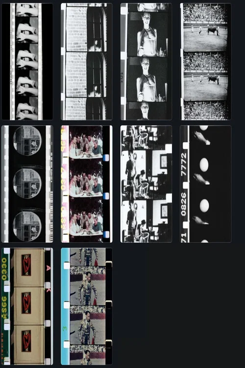 Постер: Home Movies