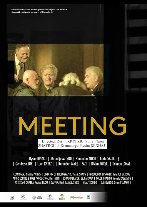 Постер: Meeting