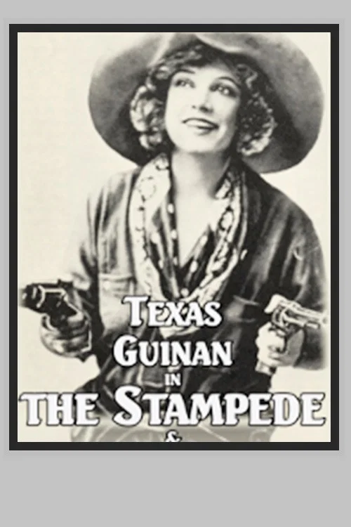 Постер: The Stampede