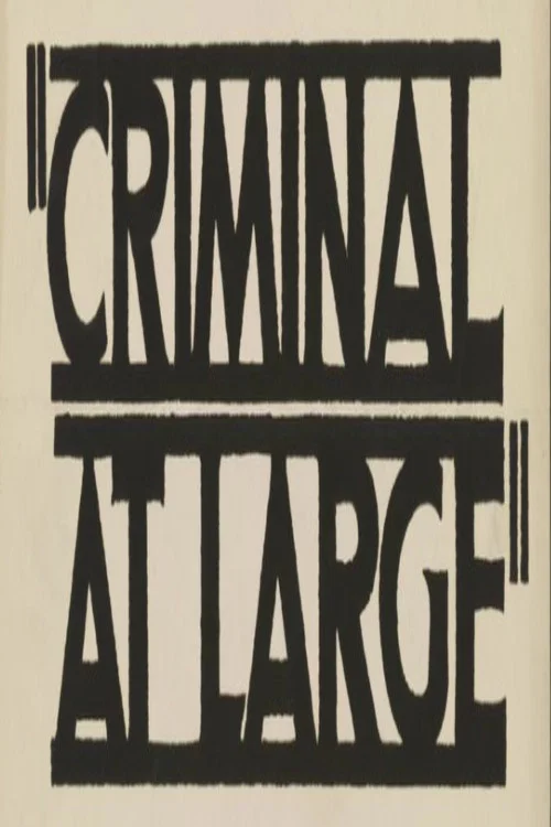 Постер: A Criminal at Large