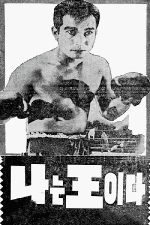 Постер: Naneum wang-ida