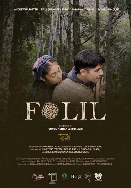 Постер: Folil