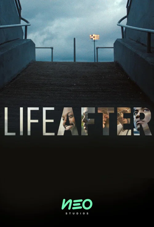 Постер: Life After