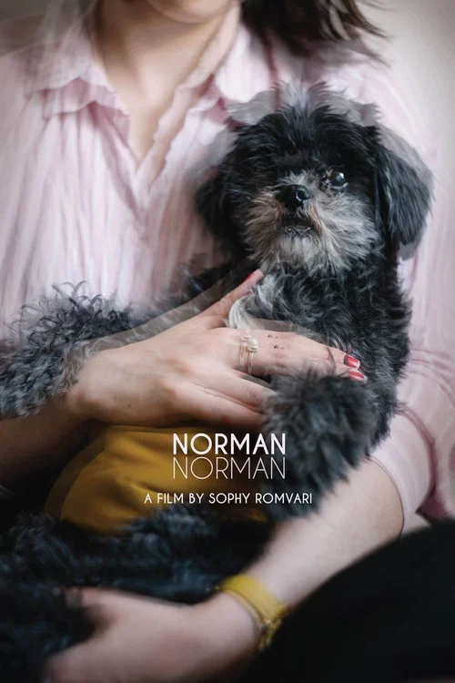 Постер: Norman Norman