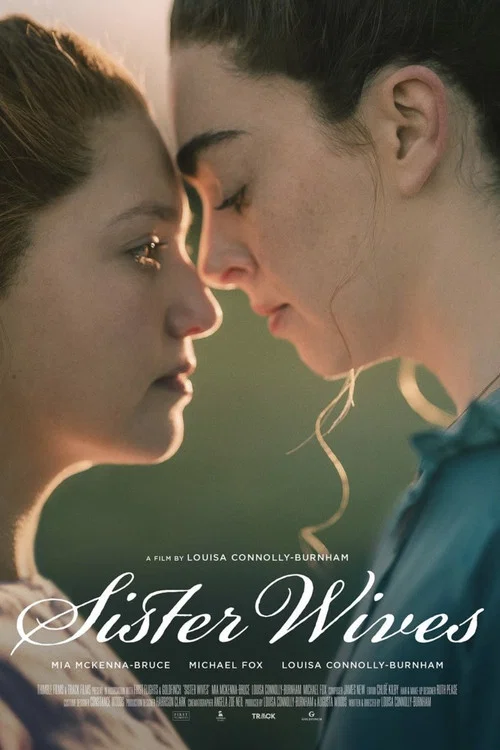 Постер: Sister Wives