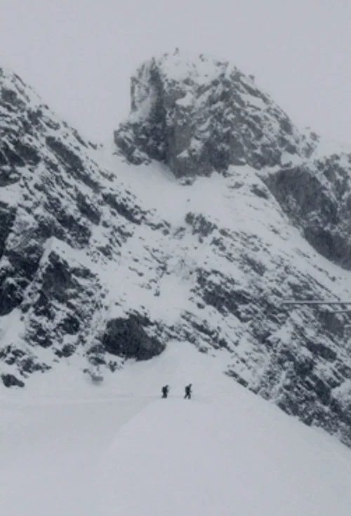 Постер: Out of Bounds