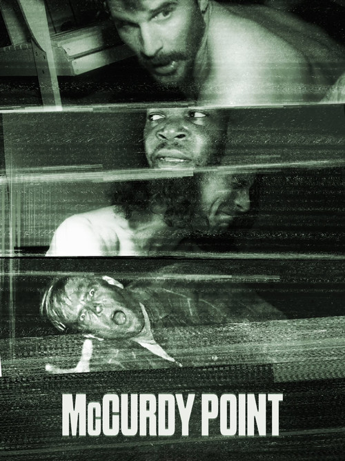 Постер: McCurdy Point