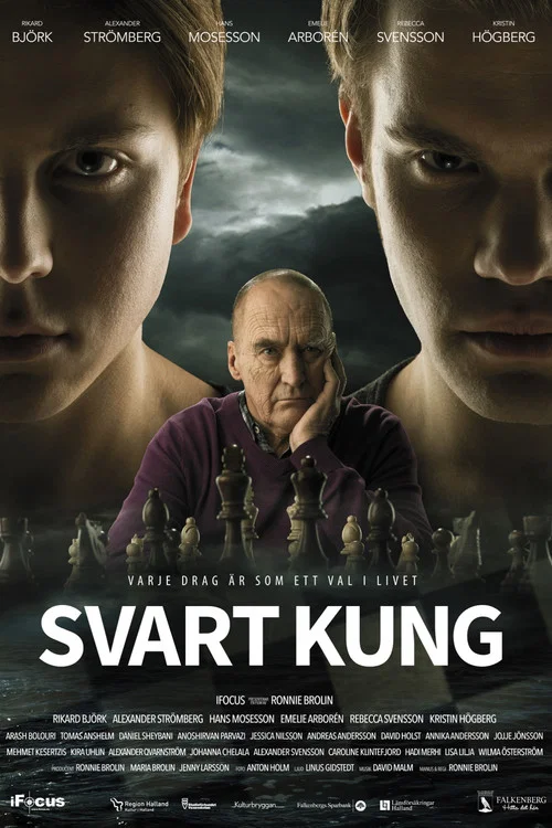Постер: Svart kung