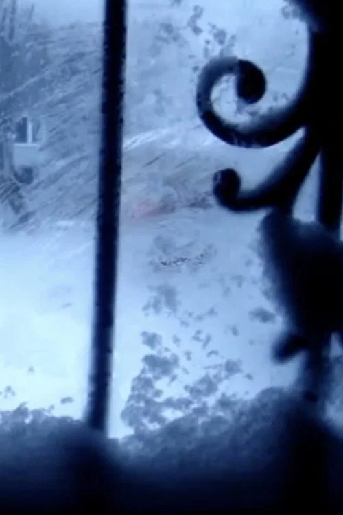 Постер: Blizzard