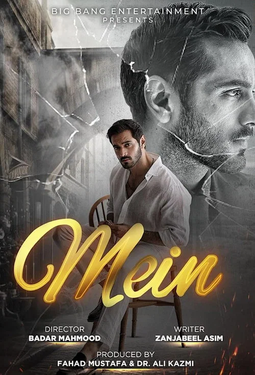 Постер: Mein
