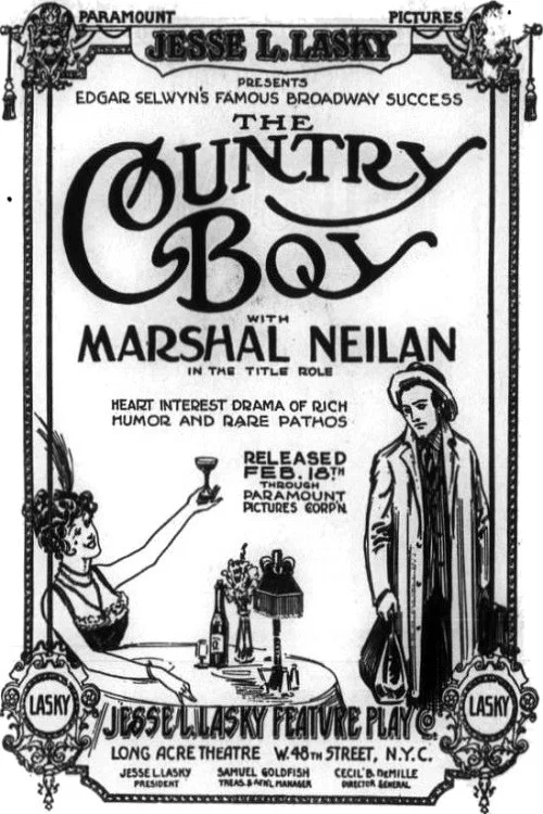 Постер: The Country Boy