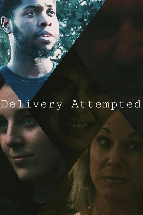 Постер: Delivery Attempted