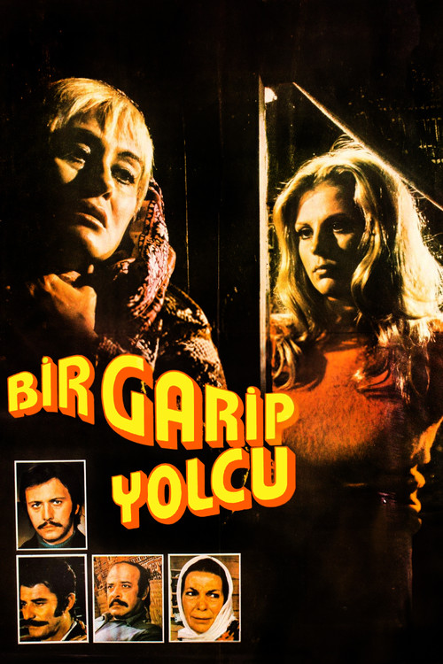 Постер: Bir garip yolcu