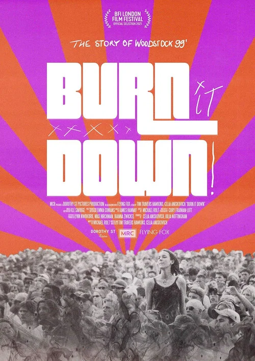 Постер: Burn It Down
