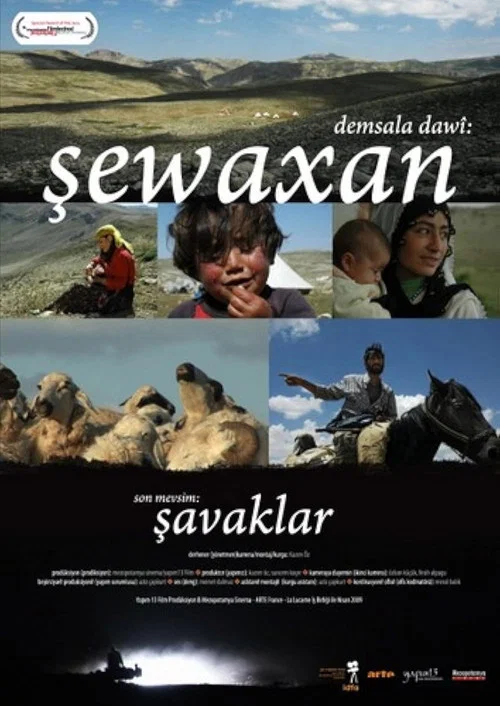 Постер: Demsala dawi: Sewaxan