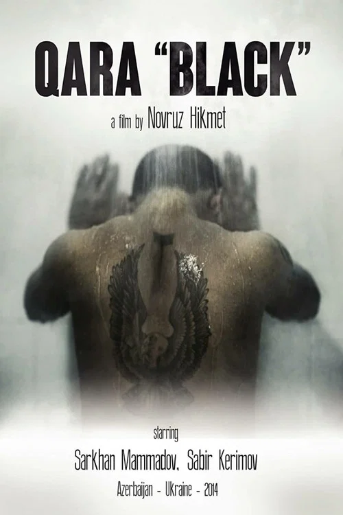 Постер: Qara