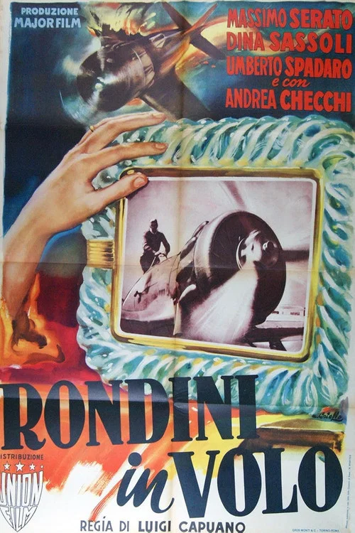 Постер: Rondini in volo