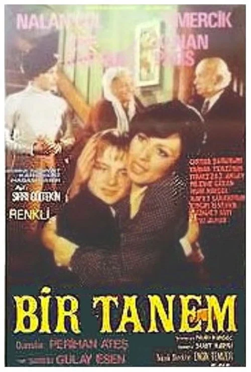 Постер: Bir Tanem