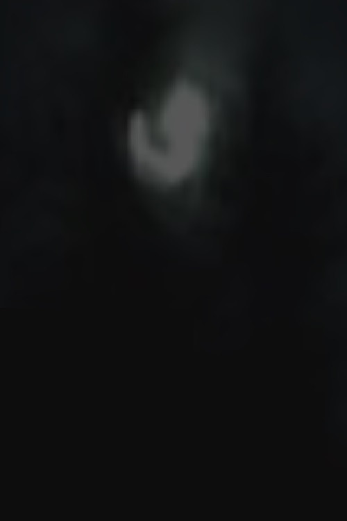 Постер: Moonlight