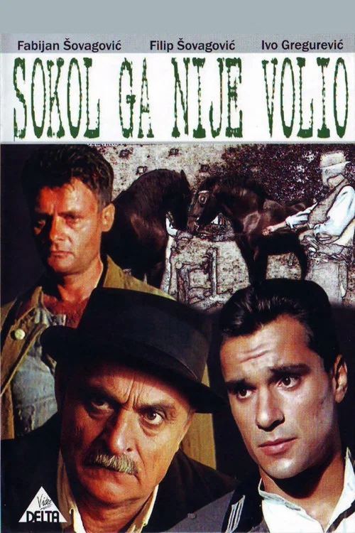 Постер: Sokol ga nije volio